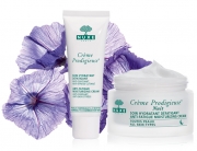 Razlika dnevnih i noćnih krema